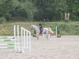 IMG_1407_web